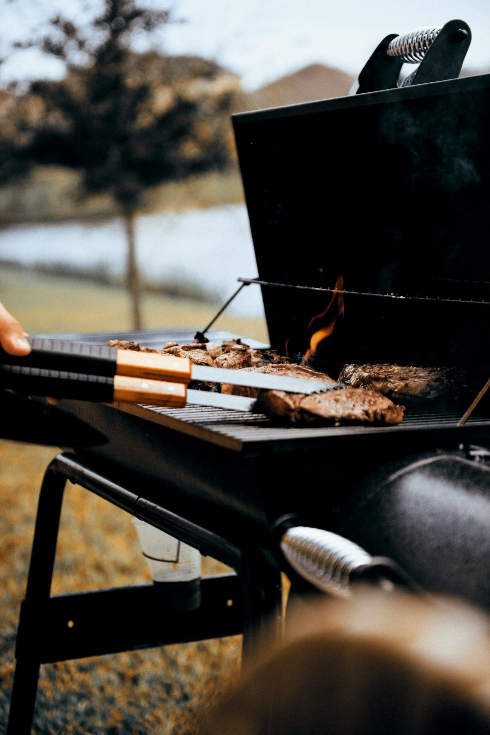 Meat searing over open flames on a barbecue grill