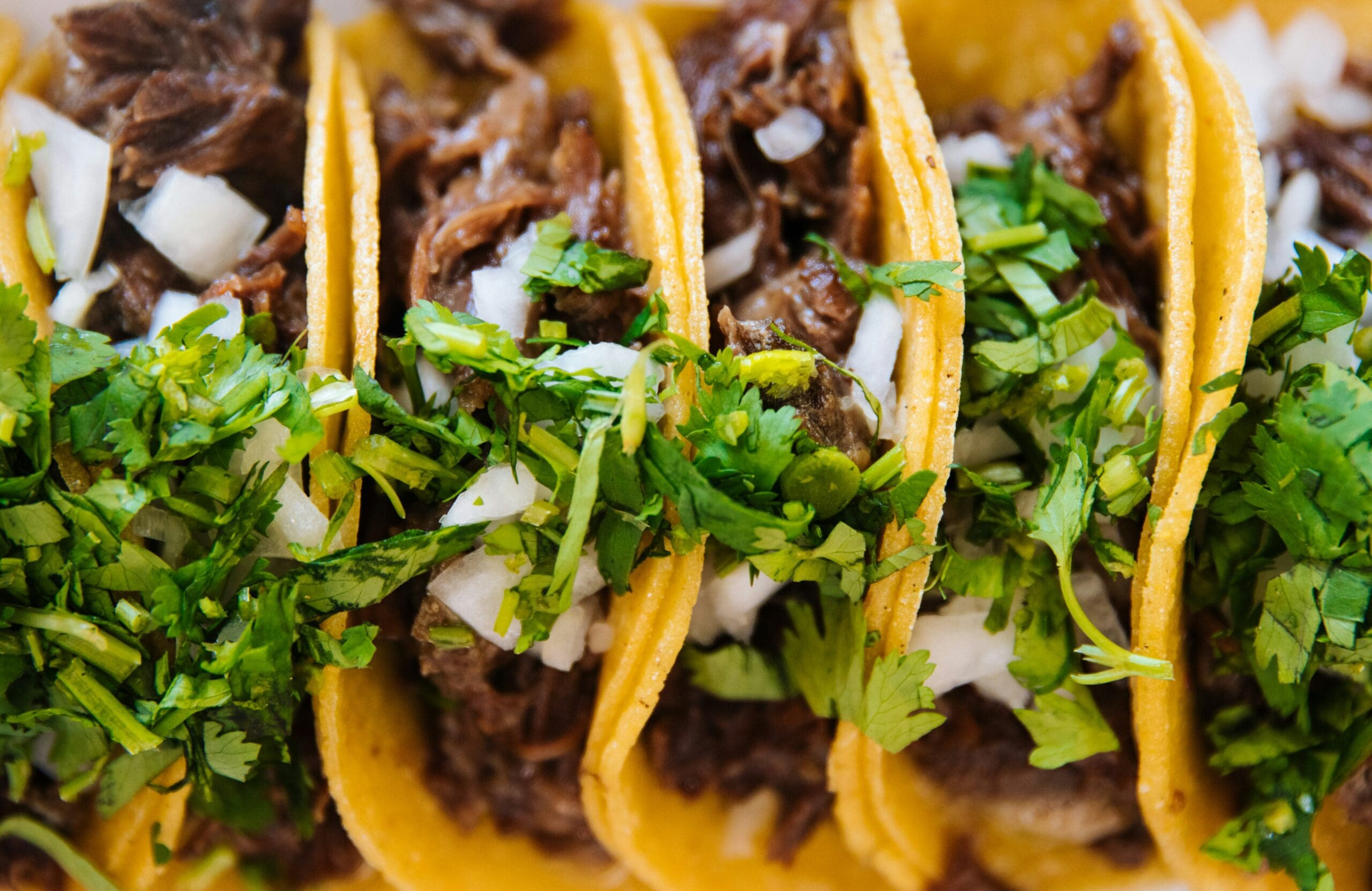Close-up of street tacos topped with fresh cilantro and onion